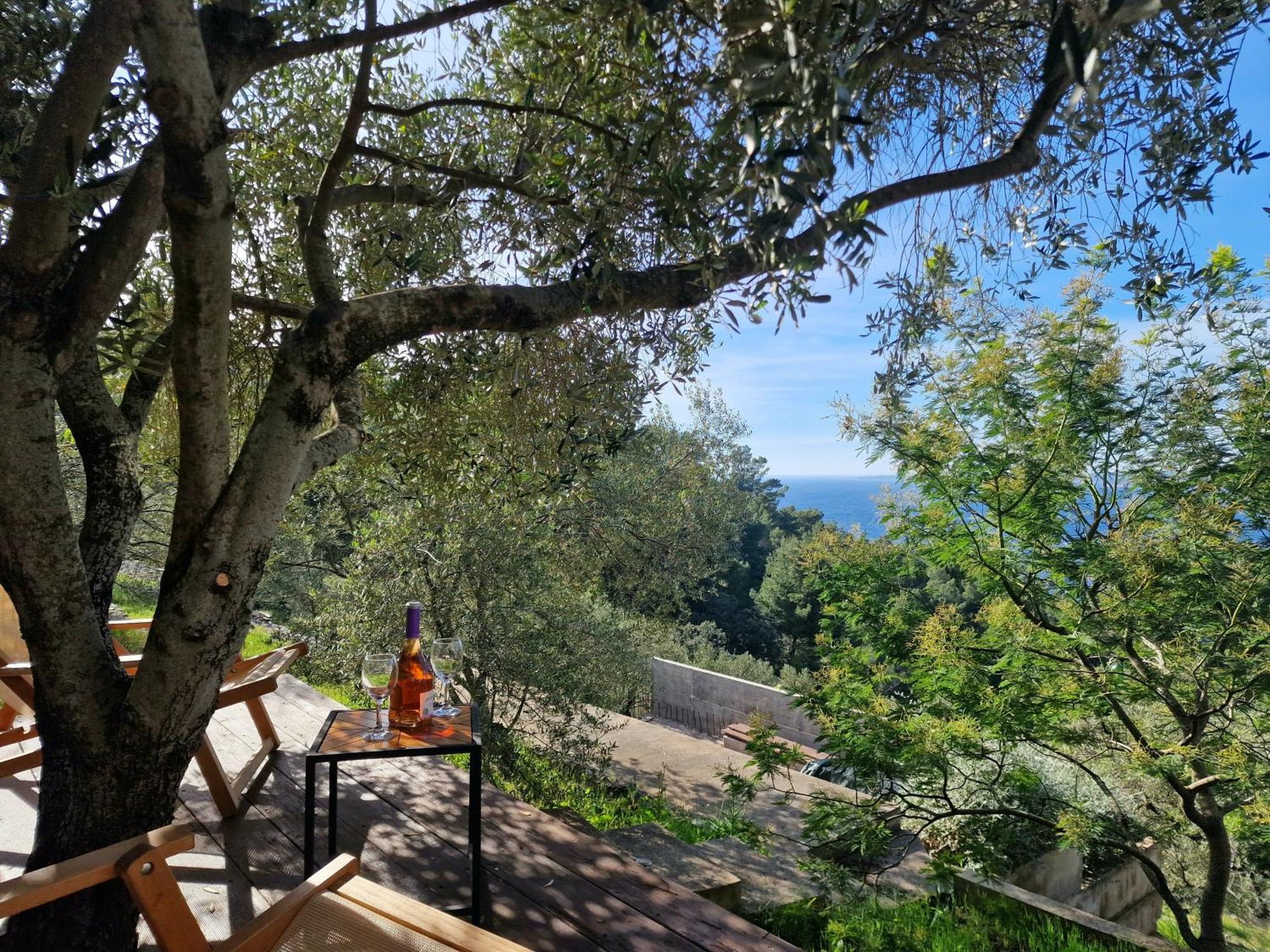 Holiday Home Maslinova Vela Luka Εξωτερικό φωτογραφία