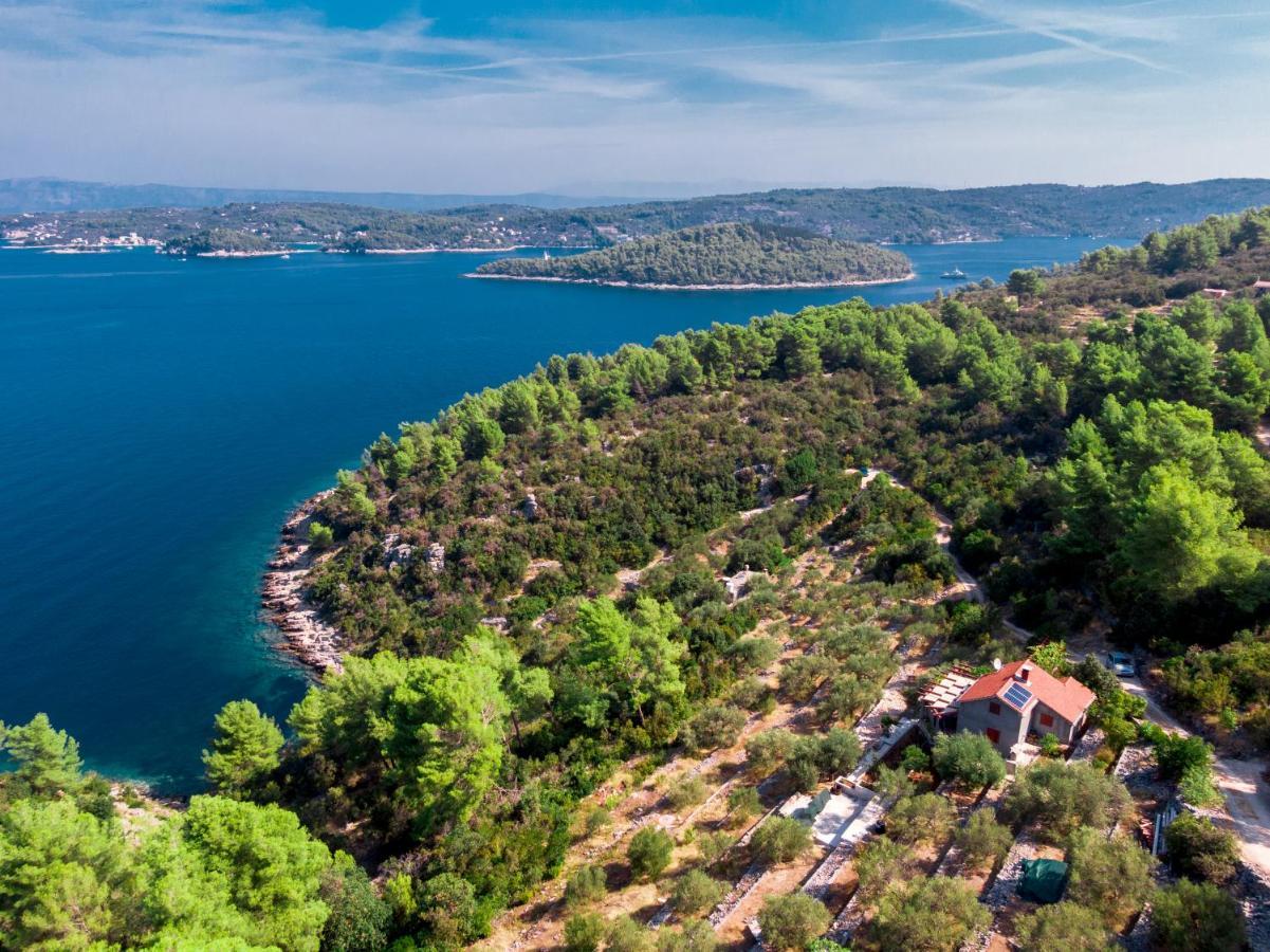 Holiday Home Maslinova Vela Luka Εξωτερικό φωτογραφία