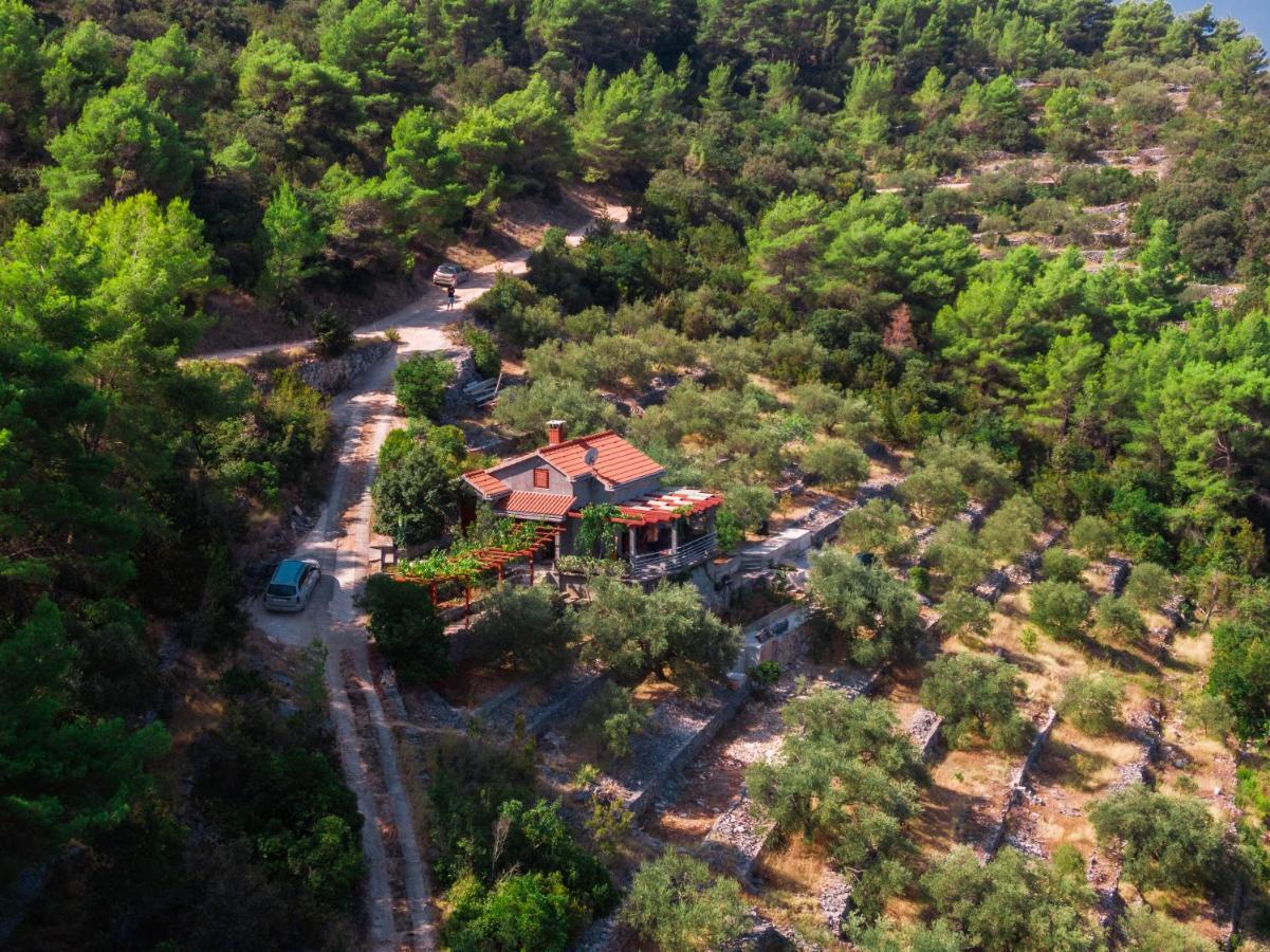 Holiday Home Maslinova Vela Luka Εξωτερικό φωτογραφία