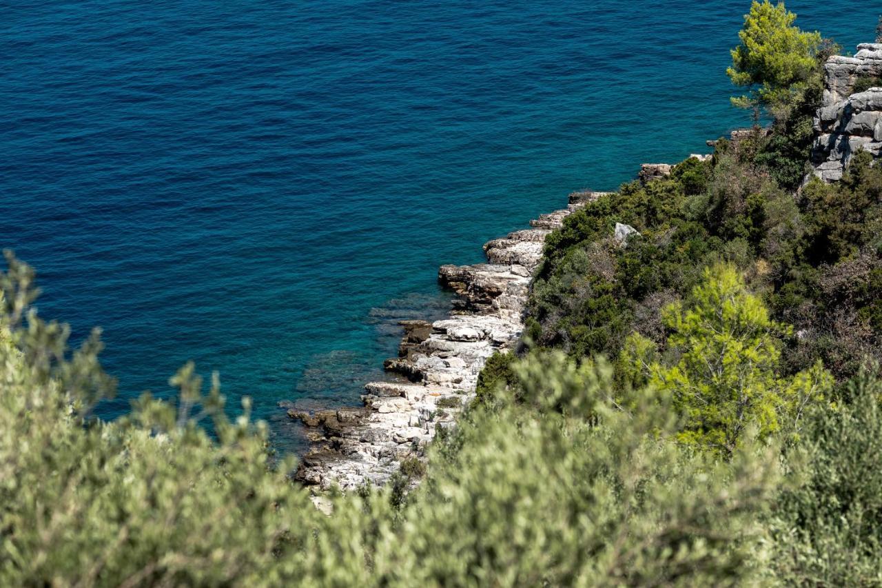 Holiday Home Maslinova Vela Luka Εξωτερικό φωτογραφία